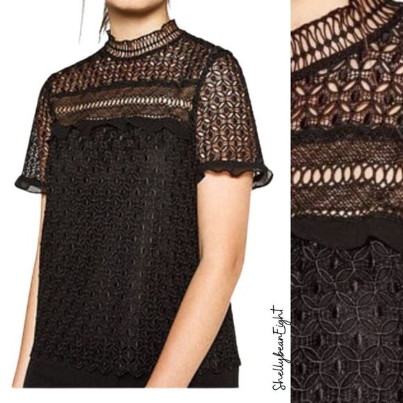 ZARA Guipure Lace MockNeck SheerBack Top Blouse XS - Picture 1 of 11